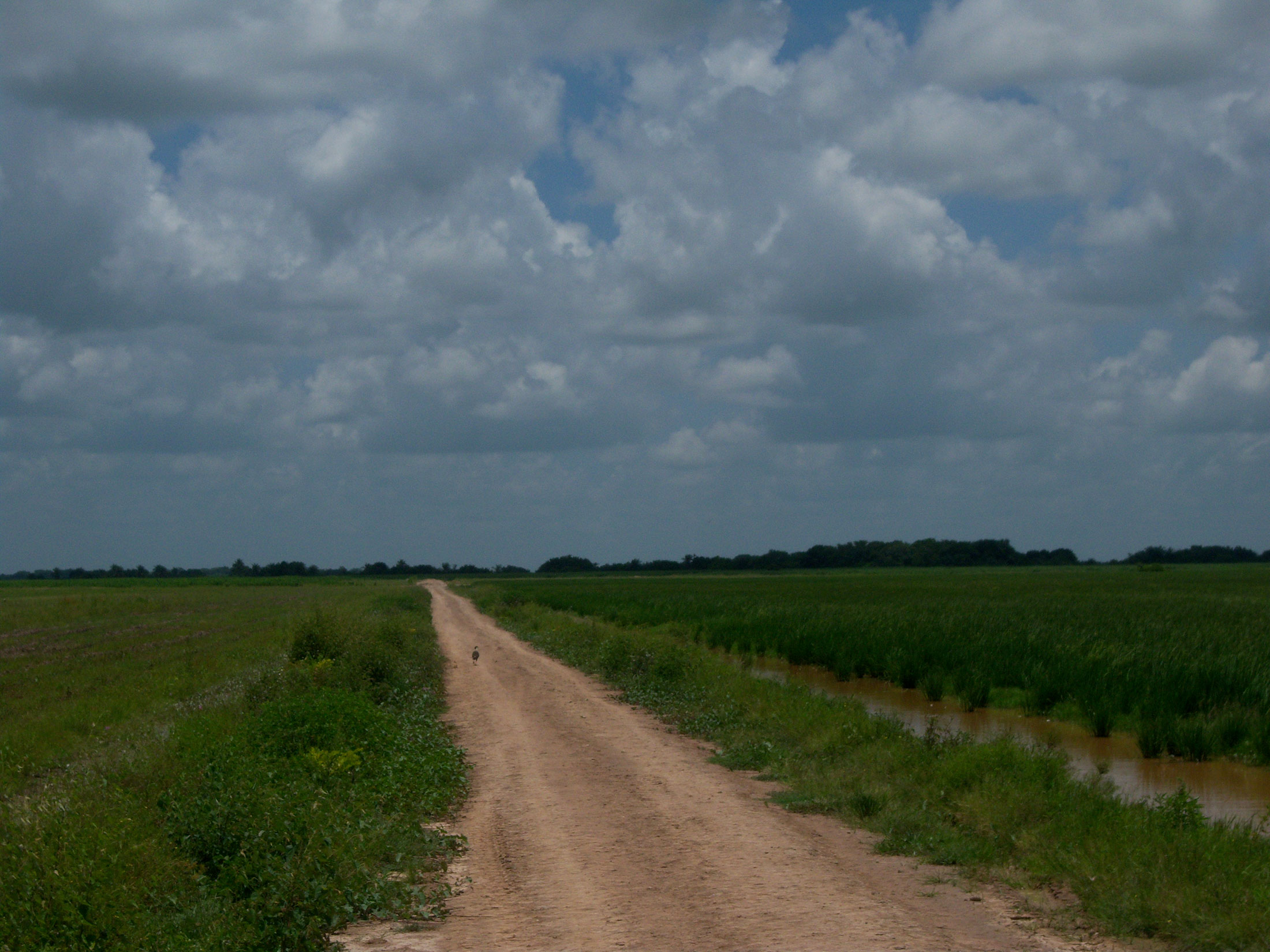 La Ruta Natural La Orinoquía 5217